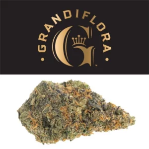 Grandiflora supercharger strain