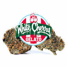 White Cherry Gelato