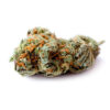 Buy Canatonic weed strain