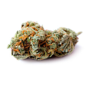 Buy Canatonic weed strain