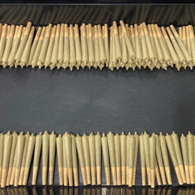 Balla Banana Pre Rolls