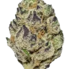 Buy Blueberry Kush Marijuana Strain Online