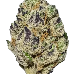 Buy Blueberry Kush Marijuana Strain Online