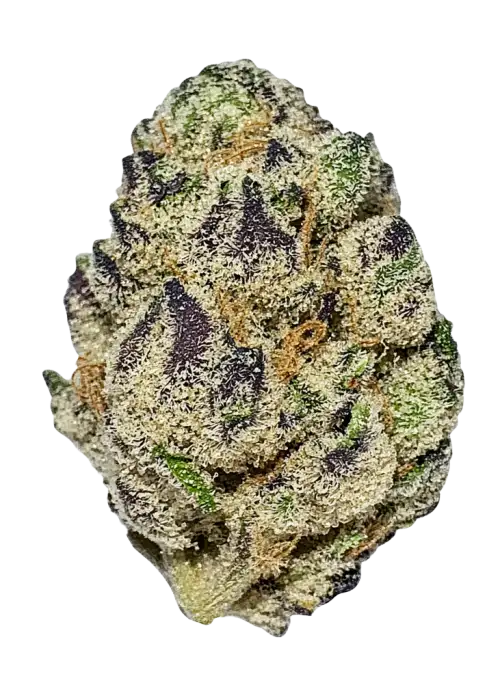 9171-blueberry-diesel_700