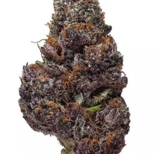 Black Cherry Soda Strain