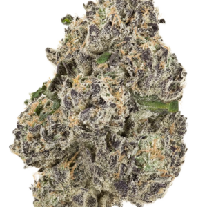 Hollands Hope Strain