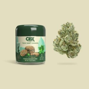 Buy Cannabiotix Thicc Mint Cookies Online