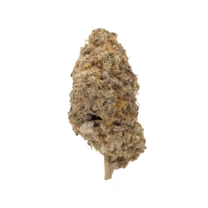 Alien Orange Cookies