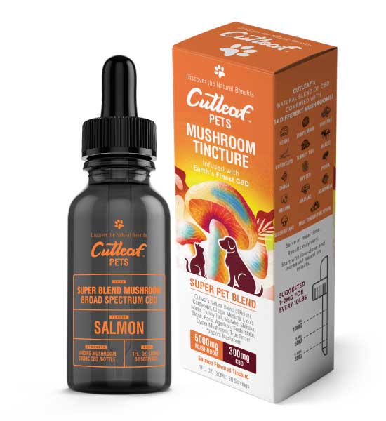 Mushroom-Tinctures-Pets-Salmon-I-1