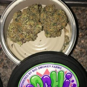 Big Smokey Farms Mochi