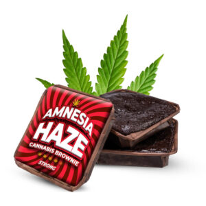Buy Amnesia Haze Brownie Online