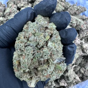 Apple Fritter