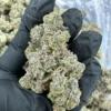 Banana OG