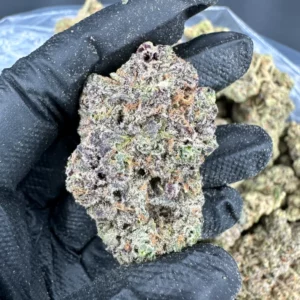 GMO Cookies