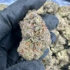 Gelato
