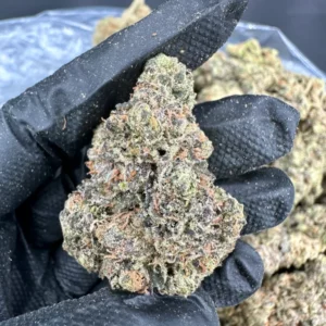 Green Crack