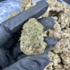 Rainbow Sherbert