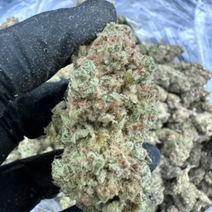 Sunset Sherbet