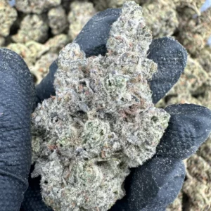 Animal Cookies