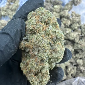 Biscotti