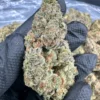 Buy Marijuana Weed in France